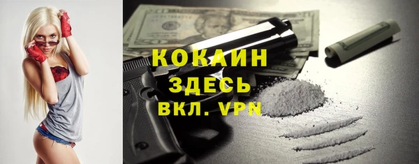 spice Аркадак