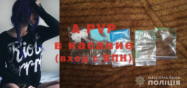 твердый Арсеньев