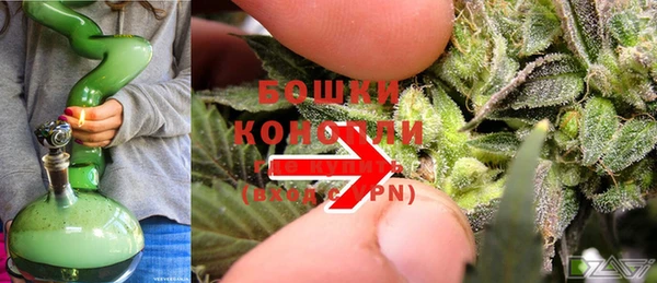 spice Аркадак