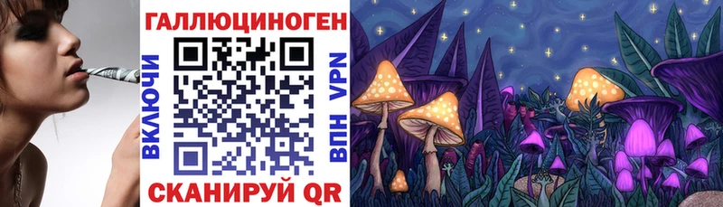 Псилоцибиновые грибы Psilocybine cubensis  Пугачёв 
