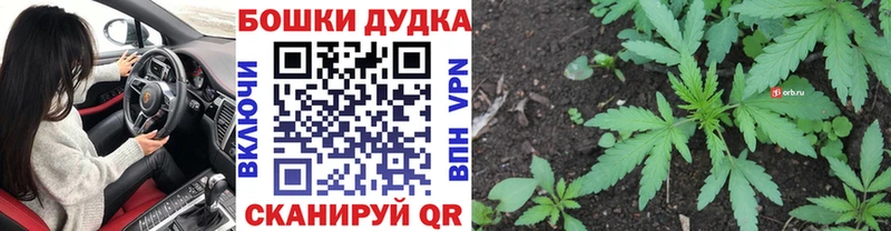 купить закладку  Пугачёв  Бошки марихуана VHQ 